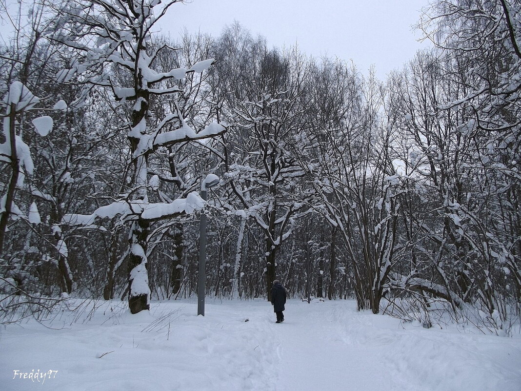 В парке - Freddy 97