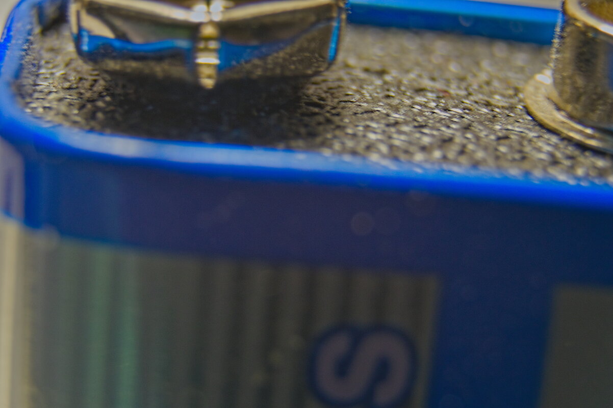 Моя первая Макрофотография . - Giant Tao /