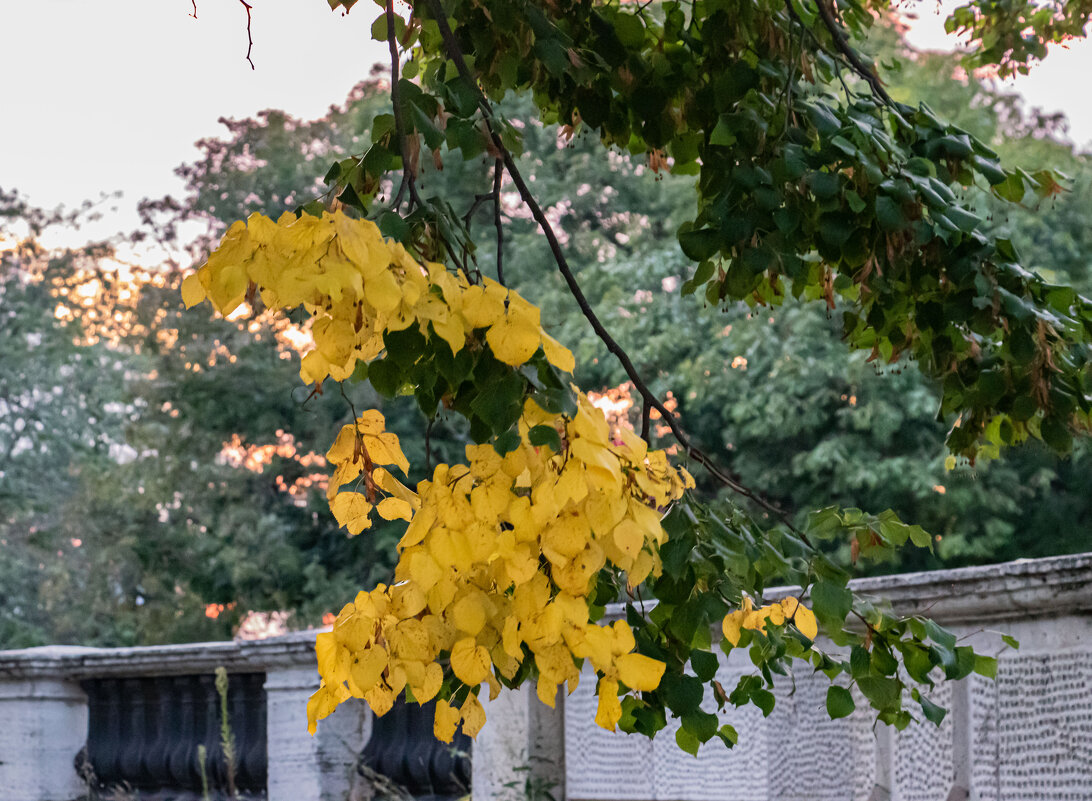 осень на пороге,,,, - navalon M