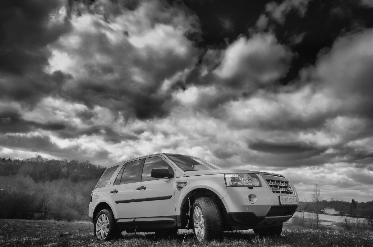 Прогулка Freel _3 - Олег Загорулько