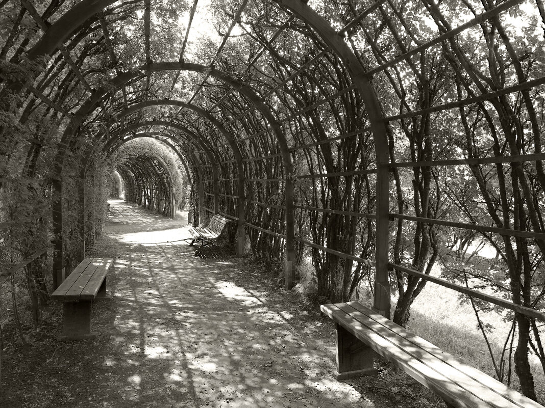 В парке - Наталья 