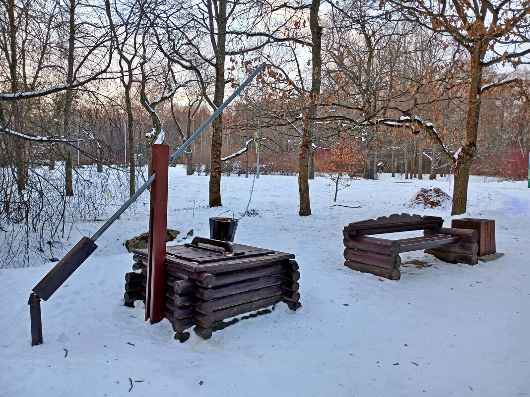 Из зимних прогулок. - Лия ☼