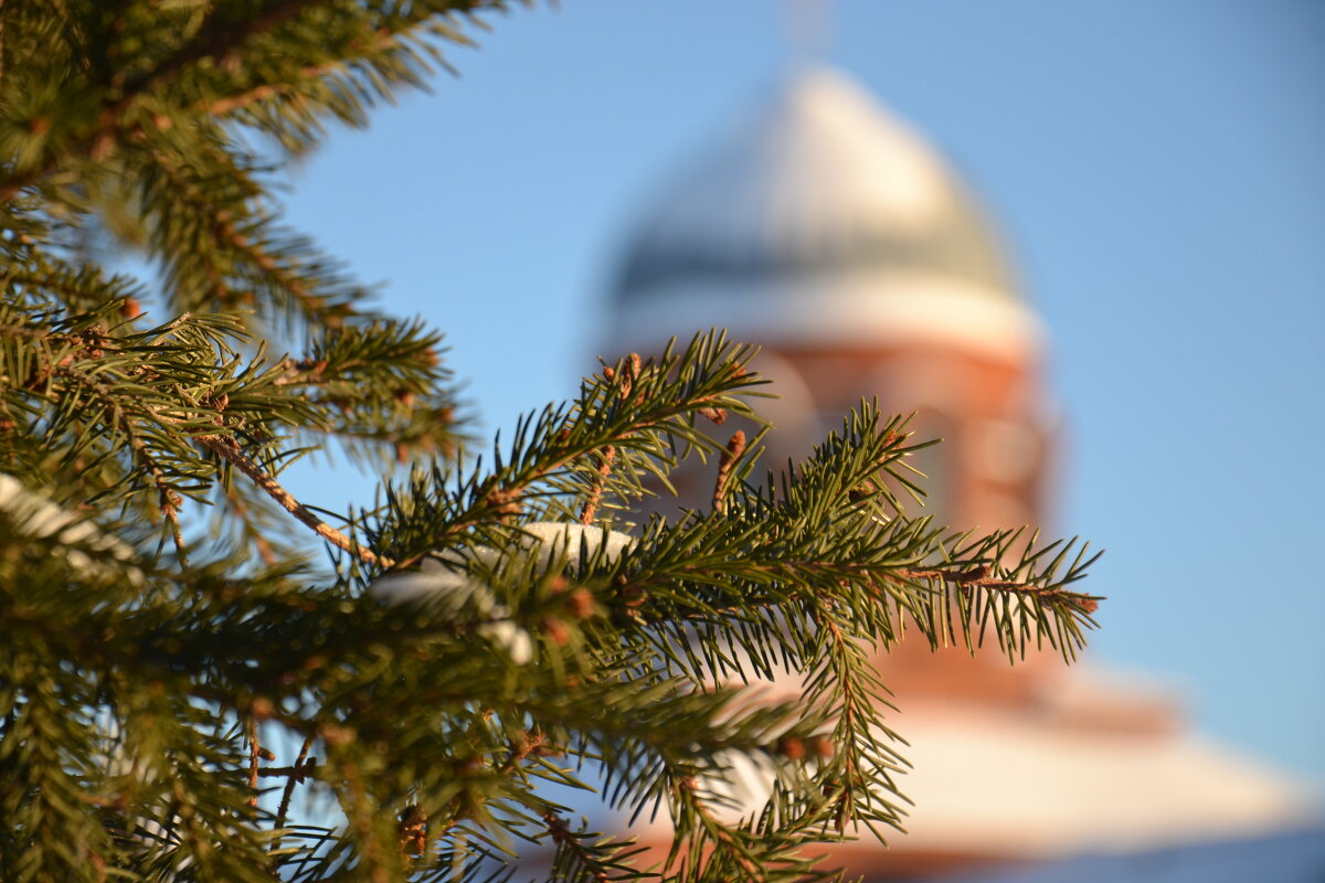 Церковь и ель - Prizrak 777