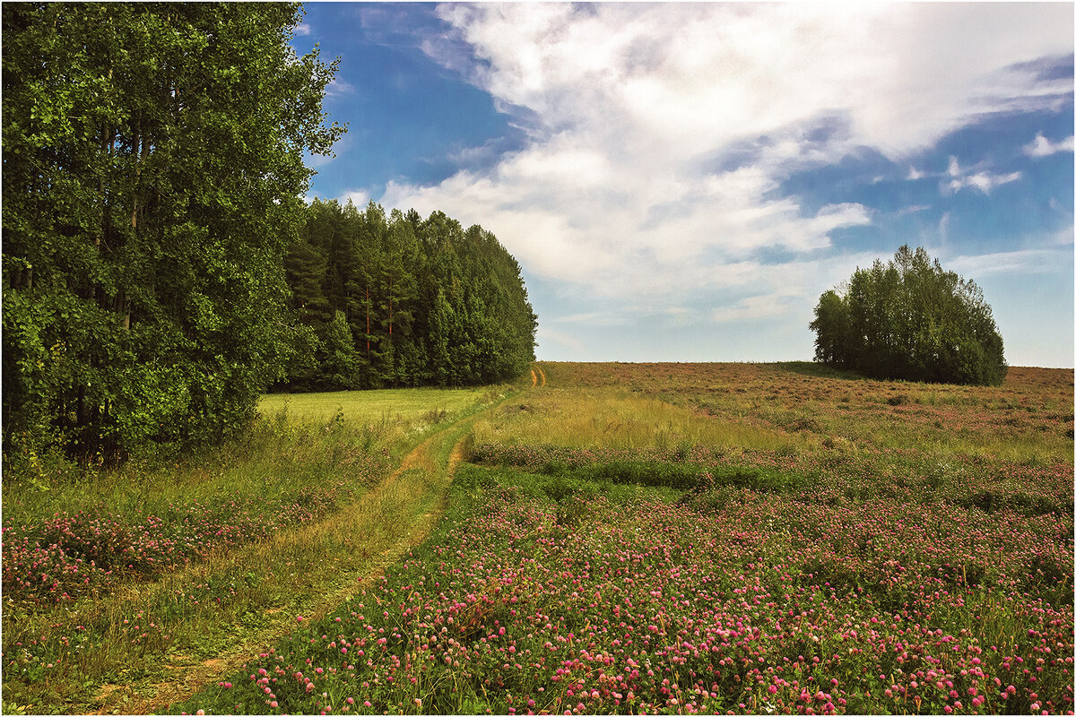 Летний этюд - Валентин Котляров