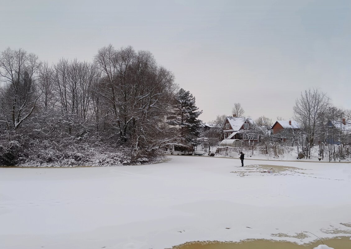 Начало января - Мария Васильева