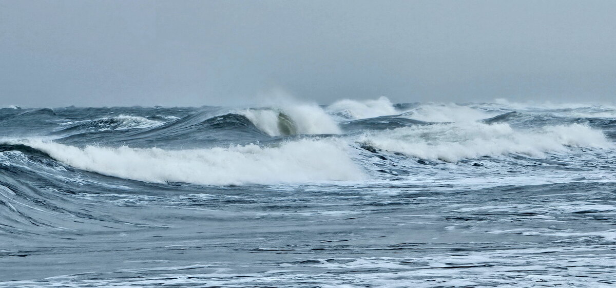 Дыхание зимней Балтики. - Михаил Свиденцов
