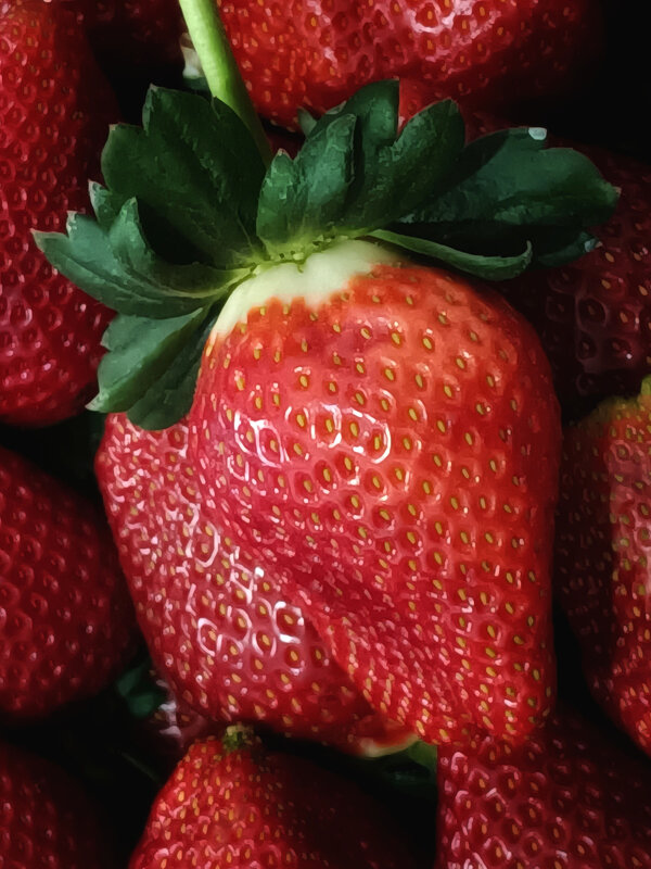 Клубника. - Argaman Табашник
