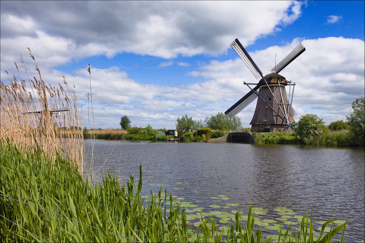 Голландский пейзаж - Валерий Готлиб