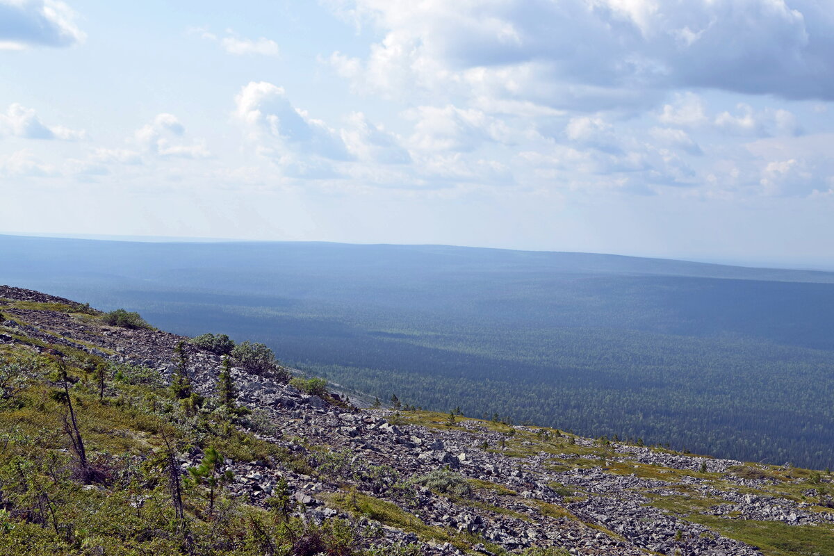 Склон и тайга... - ВикТор Быстров
