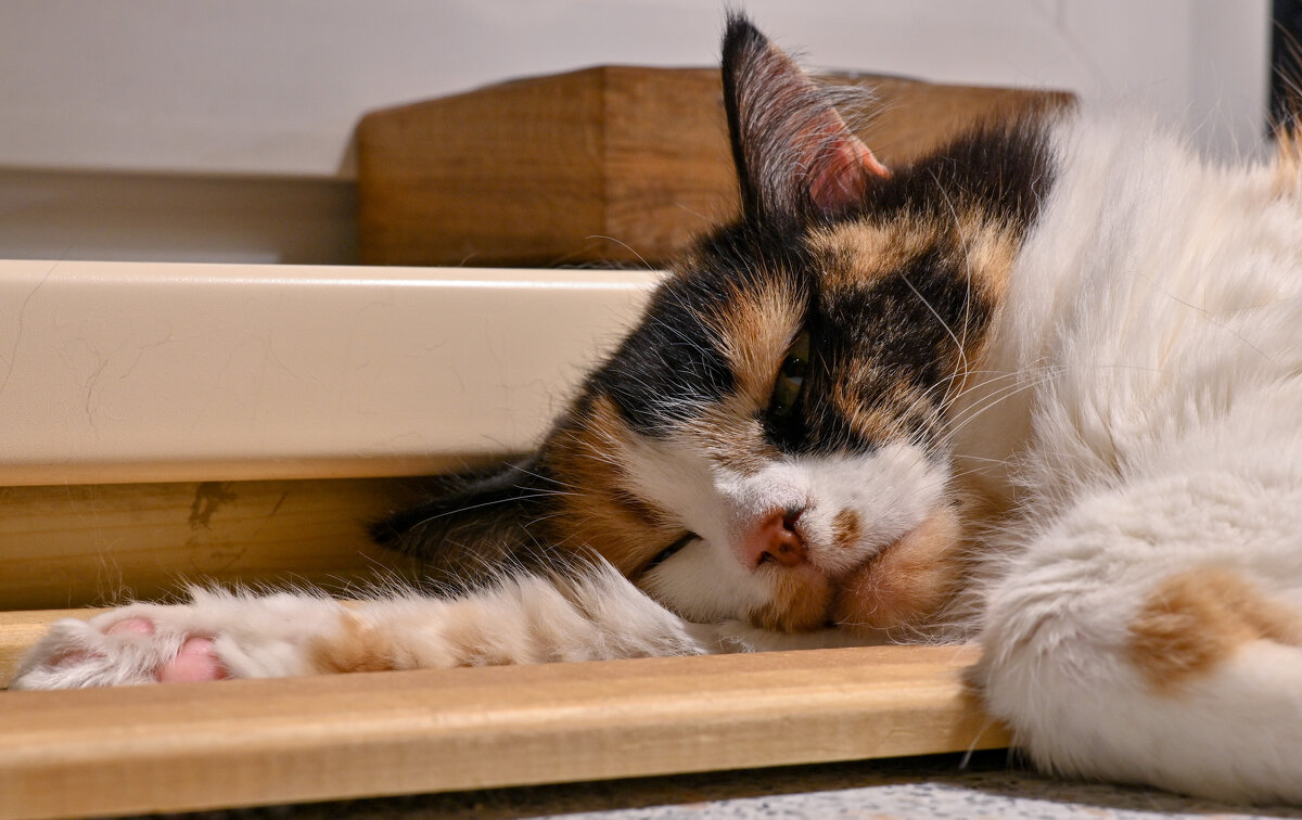 Моя старшая... - Вадим 