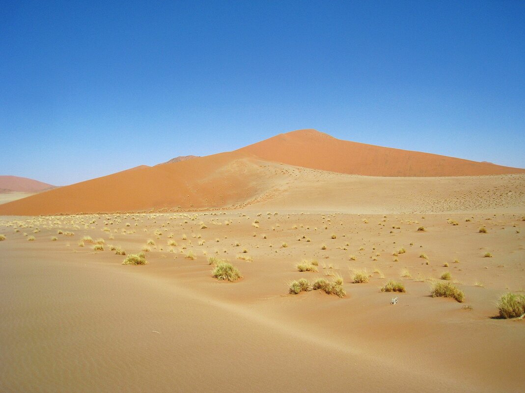 В намибийской пустыне. - unix (Илья Утропов)