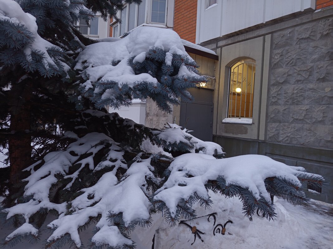 * * * - Андрей Лукьянов