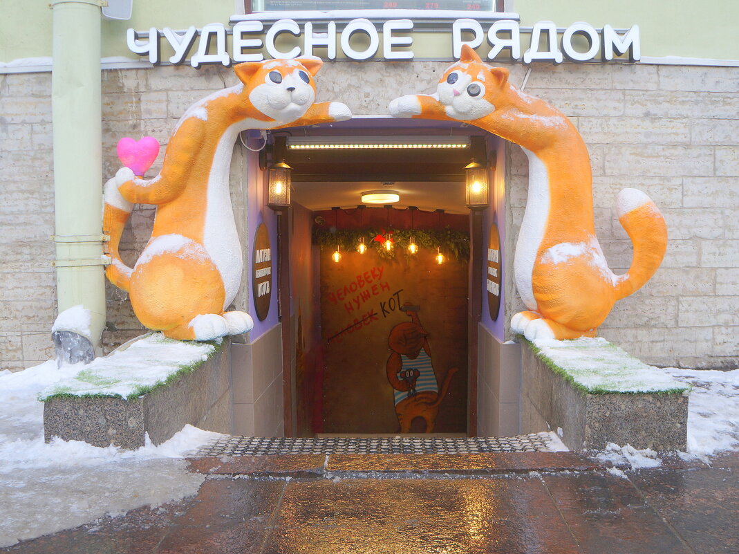 Человеку нужен КОТ - zavitok *