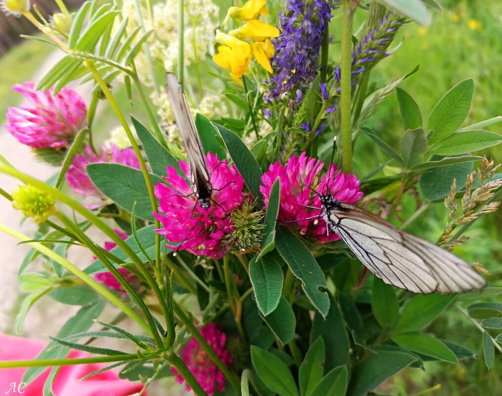 Капелька тепла в зимнюю стужу - Любовь Сахарова