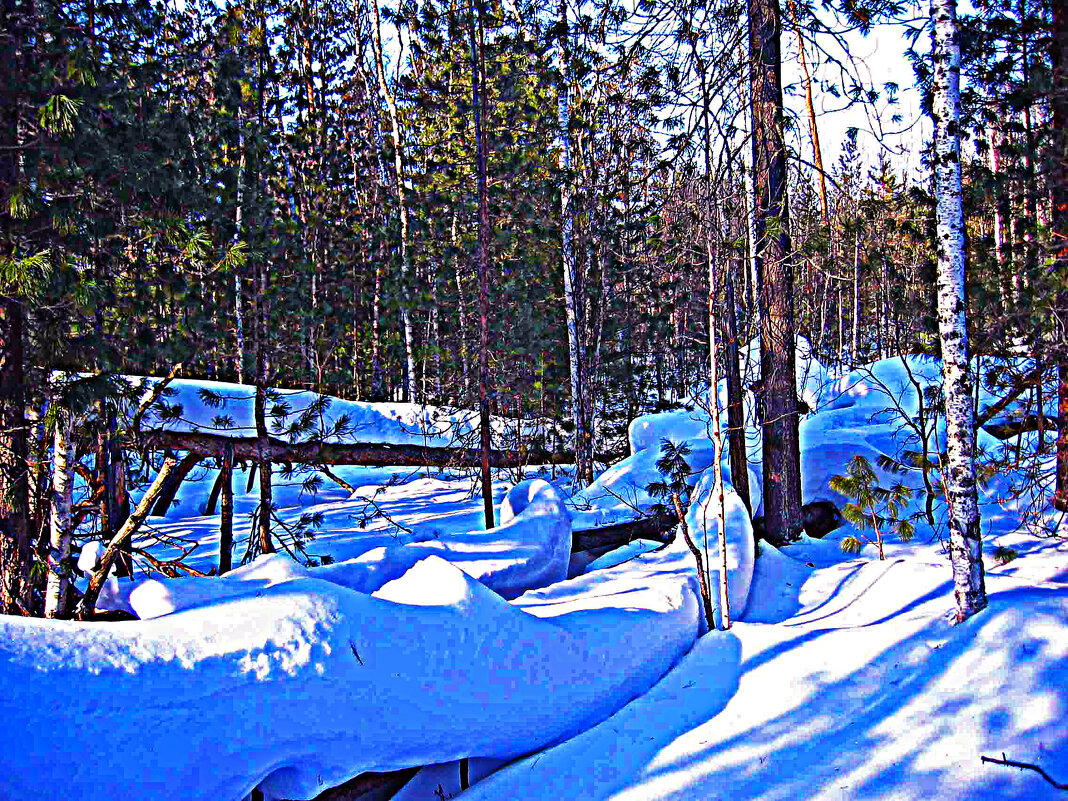 Февраль...Снежный полоз! - Владимир 
