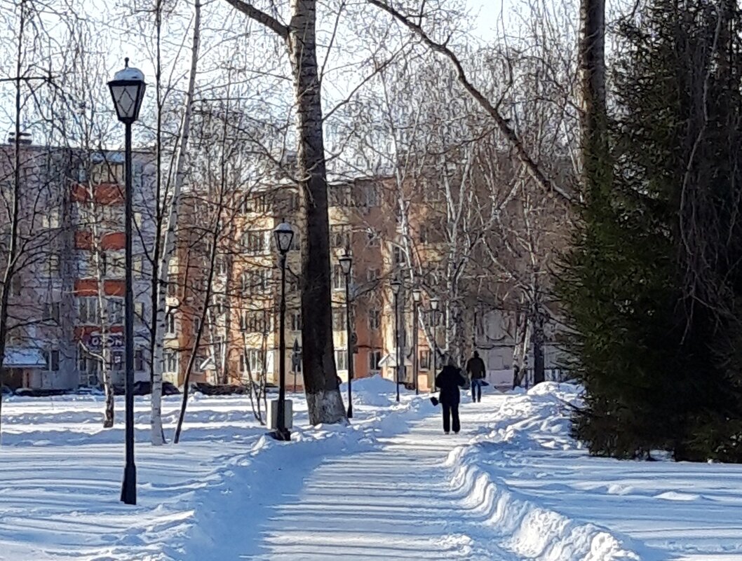 Зима - Венера Чуйкова