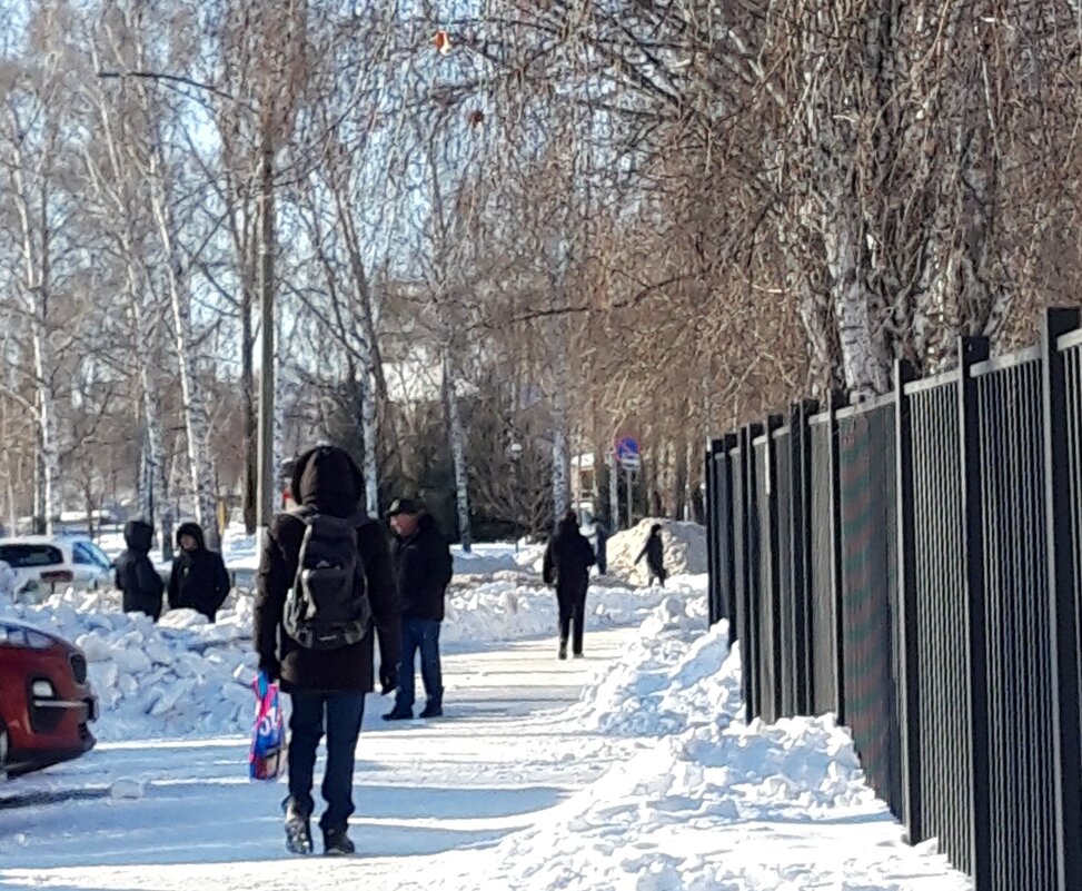 Зима - Венера Чуйкова