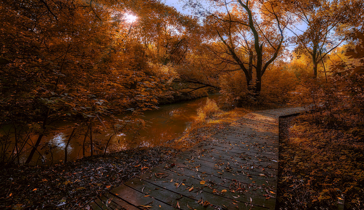 Дорожка. - Владимир Владимир
