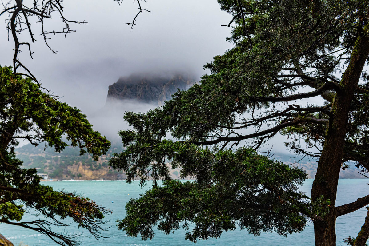 *** - Дмитрий Лупандин