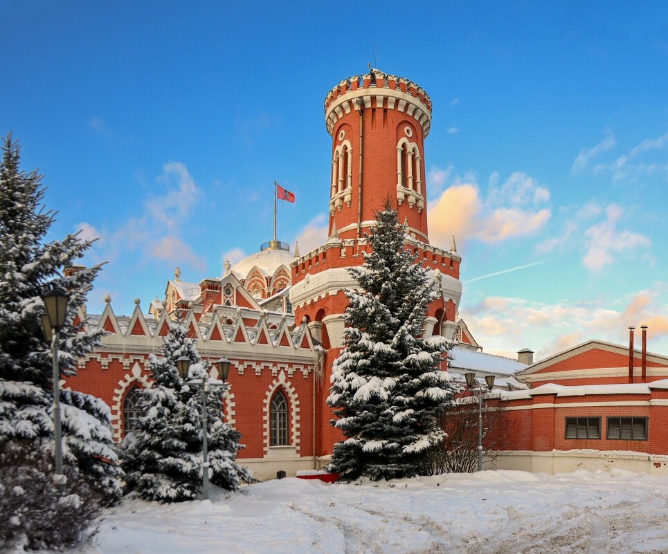 Петровский путевой дворец - skijumper Иванов