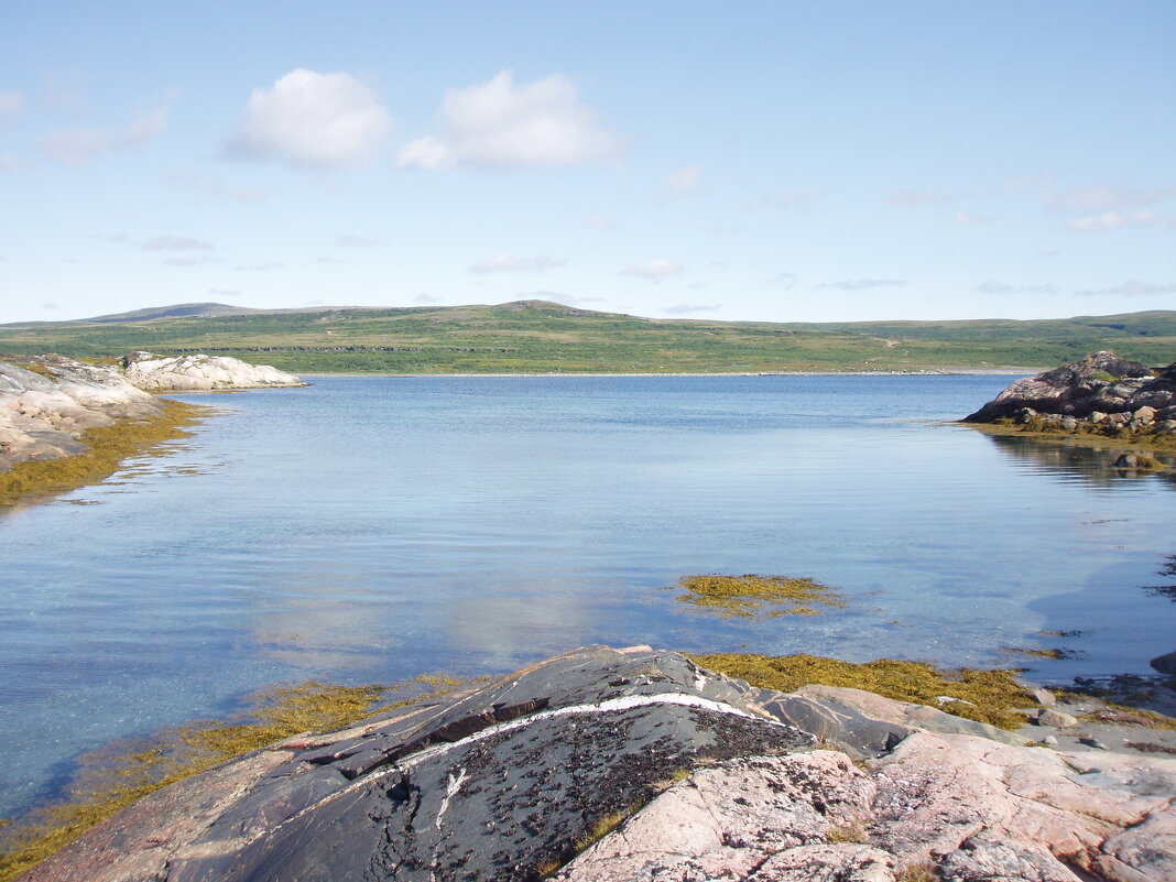 Бухта - Андрей C