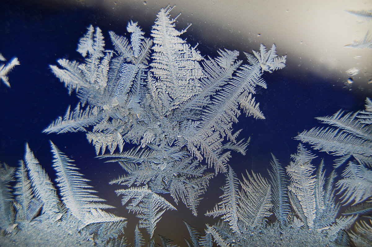 Фантазия Мороза - чудо сказка на окне... - Надежда Куркина 