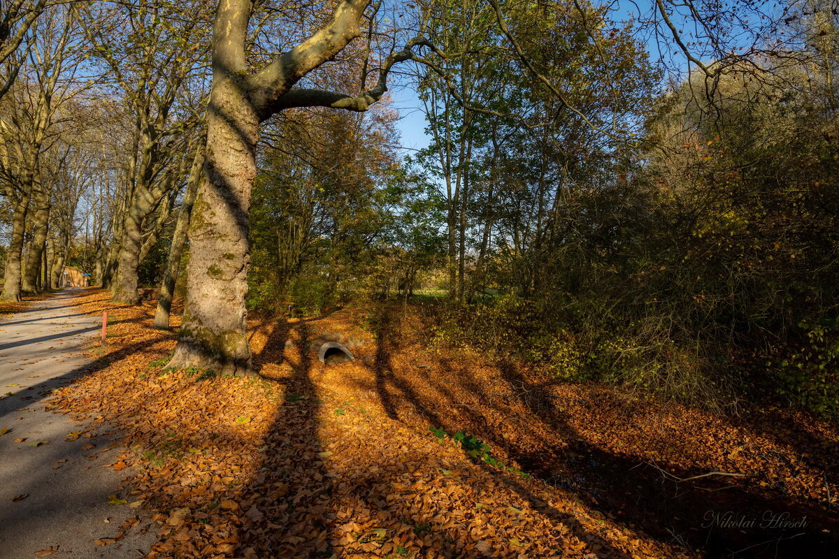 В парке... - Николай Гирш