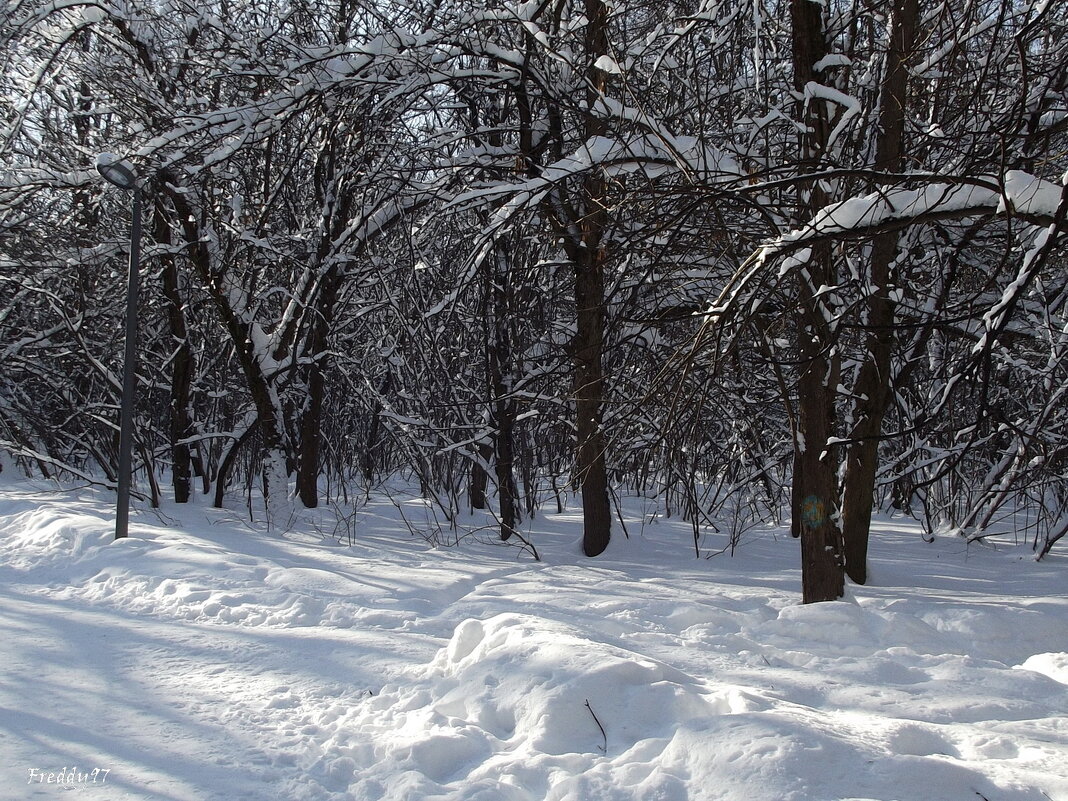 В морозный день - Freddy 97