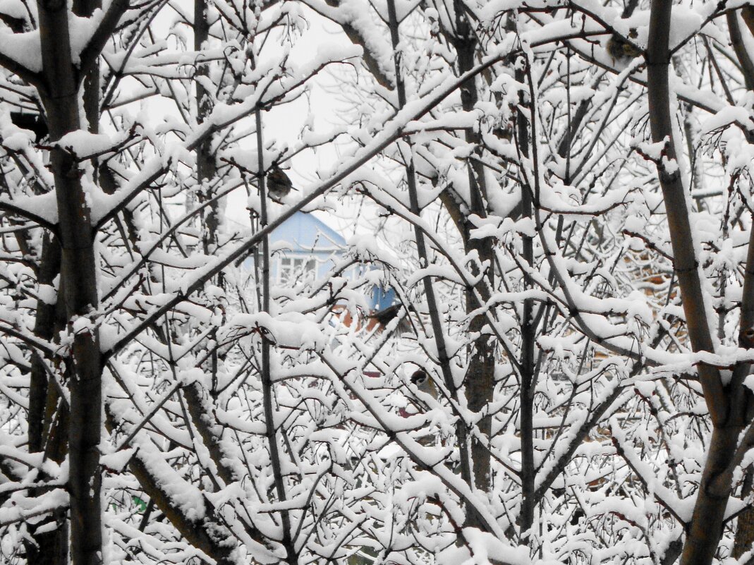 домик голубой мечты... - Галина Флора