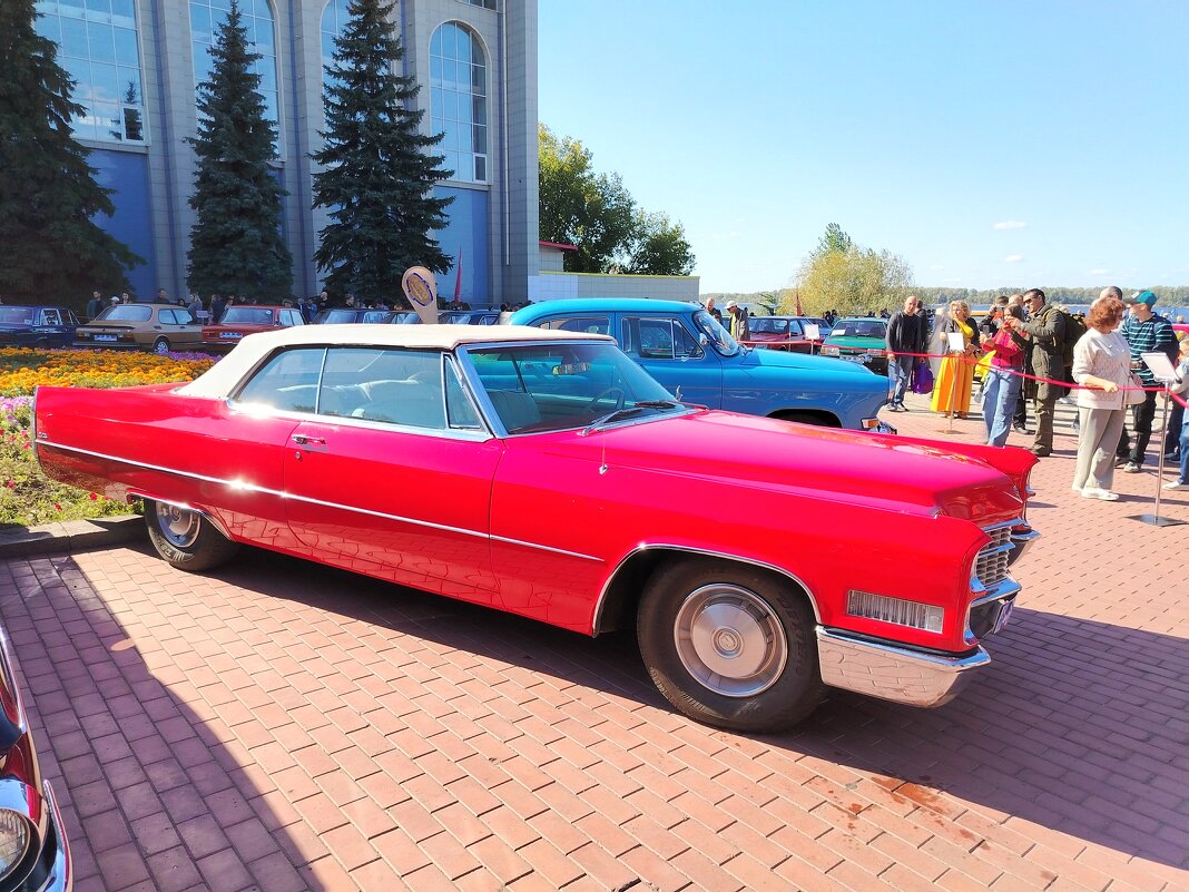 Кадиллак - Надежда 