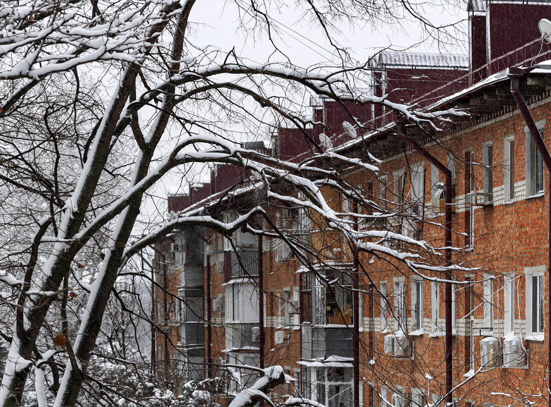 Зима в Краснодаре - Игорь Протасов