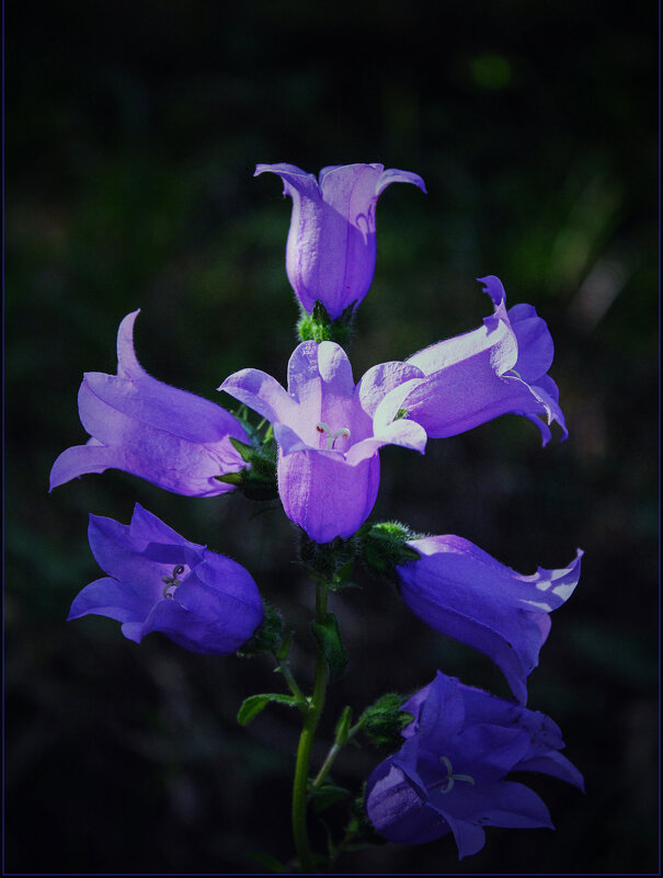 *** - Александр. AVG100 ---