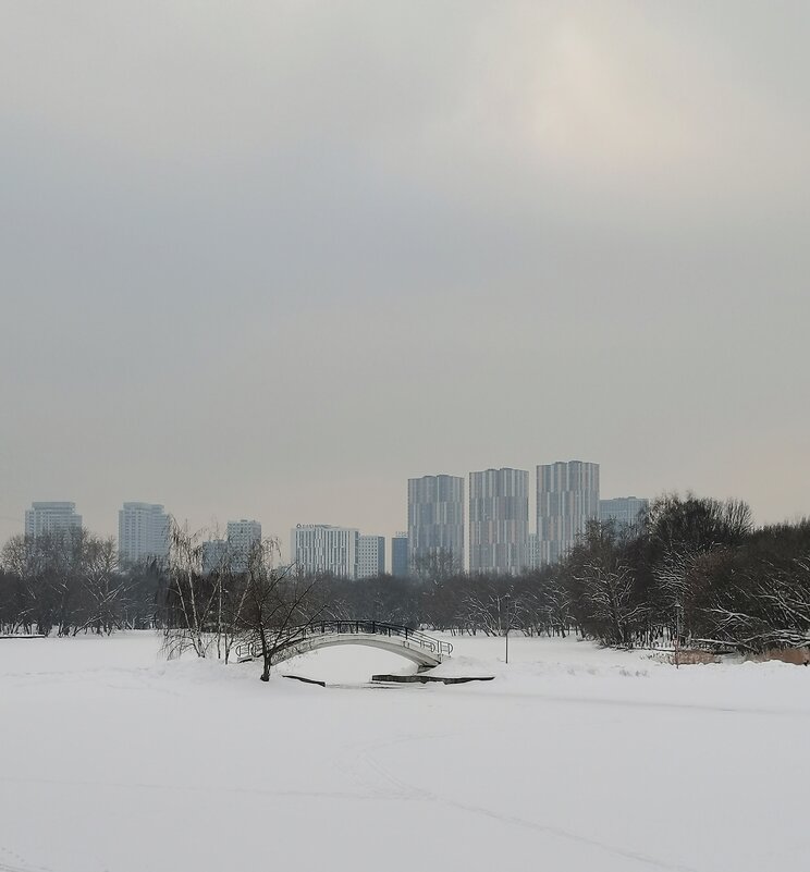 Пейзаж с мостиком. Зависание над снегом. - Любимова Ольга 