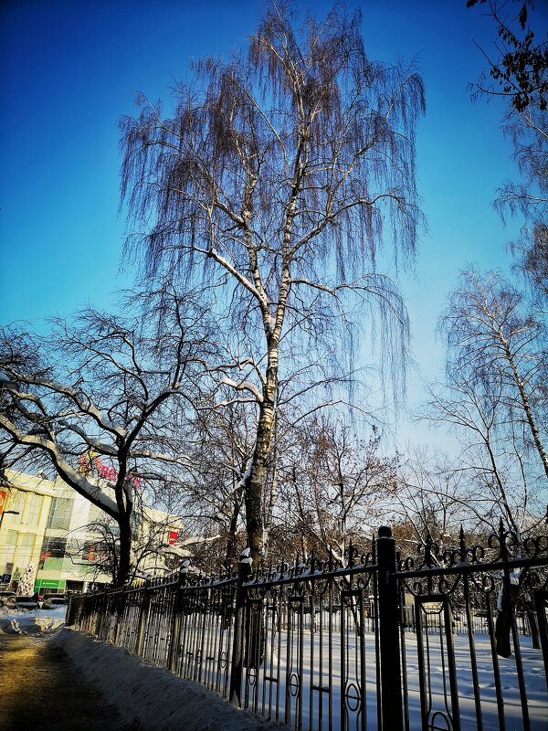 ***** - Алексей Архипов