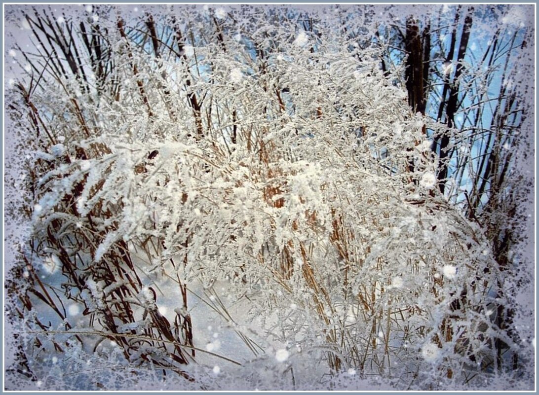 Пол-зимы прошло, но только календарной, к сожалению... - Лия ☼