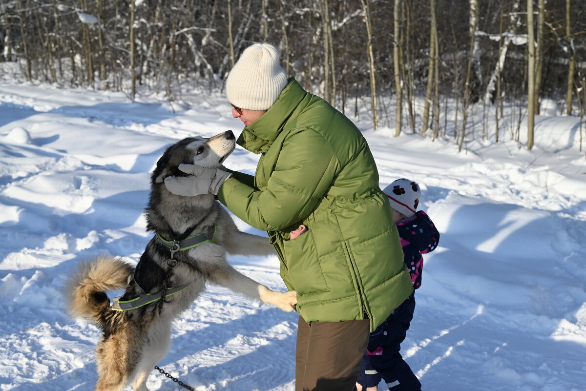 ))) - Митяй Митрич