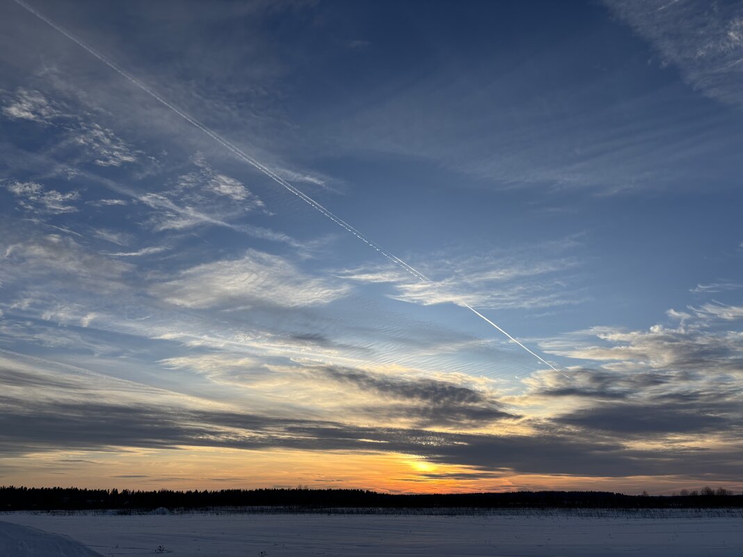 Середина зимы - Ольга Савельева 
