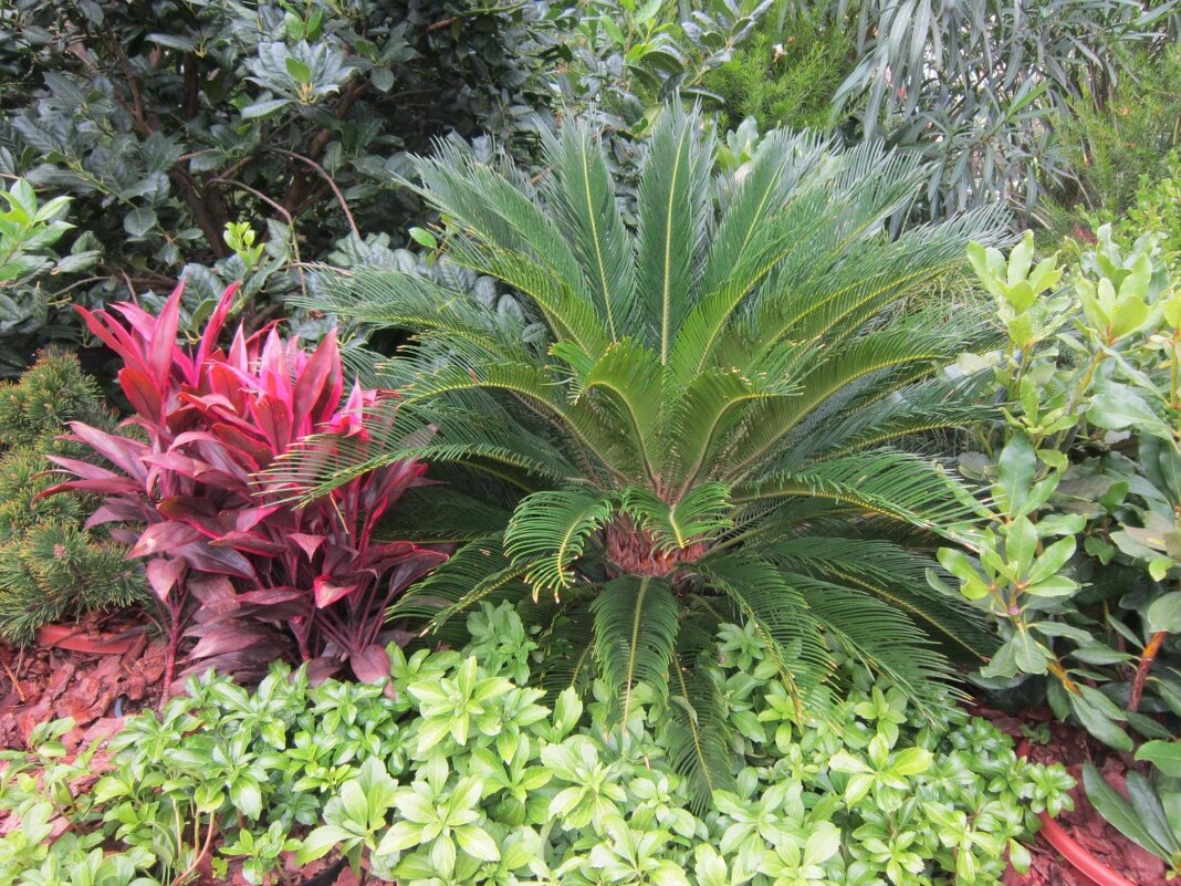 Лето в Москва - Дмитрий Никитин