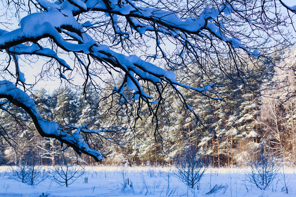 погожий денек - Артём 