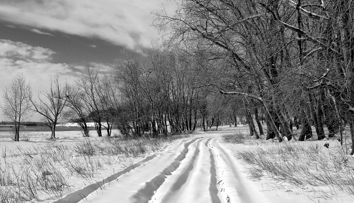 Зимняя дорога - Олегъ Петрович