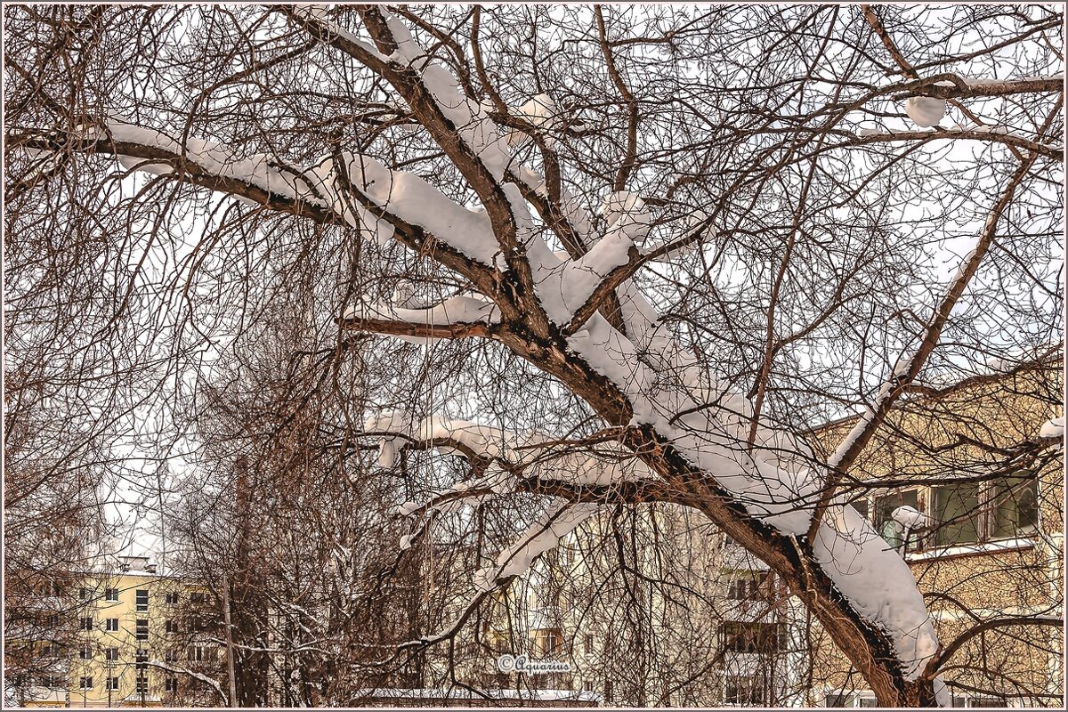 Снег кружится, летает, летает... - Aquarius - Сергей