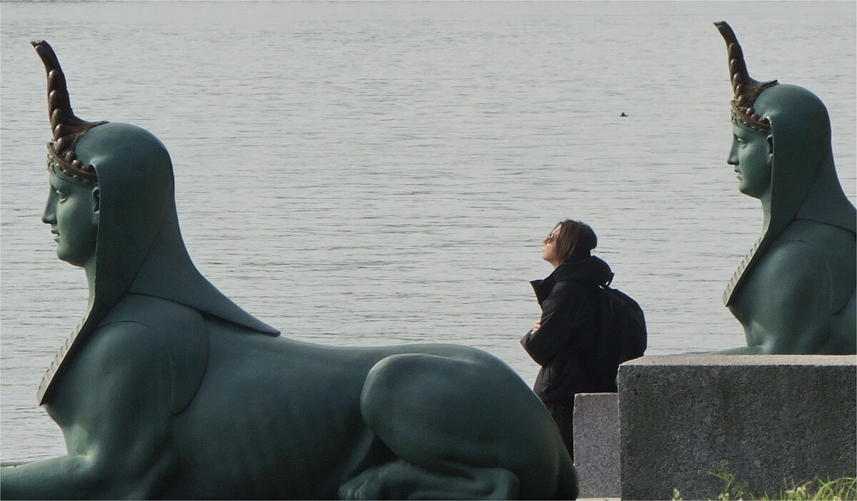 загадай и жди - sv.kaschuk 