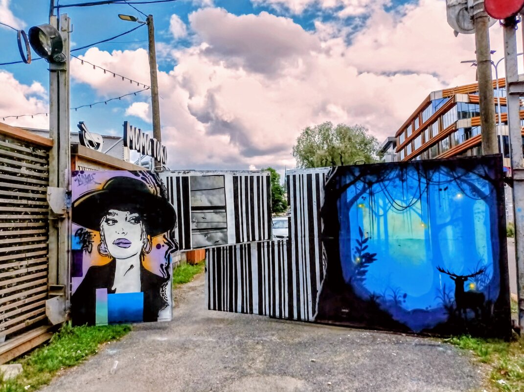 Прогулка по DEPOO - Veera V