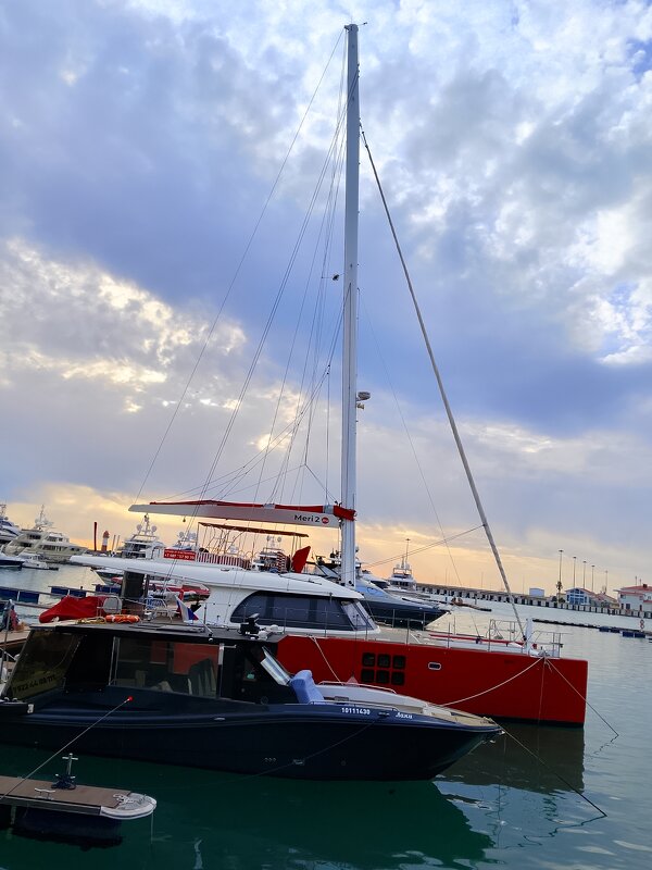 Порт Сочи - Tata Wolf