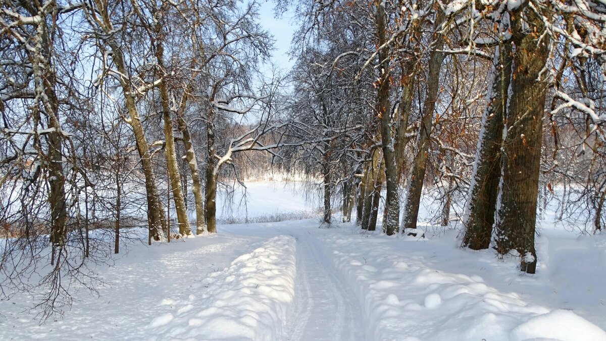 Смоленская область в январе. - Милешкин Владимир Алексеевич 