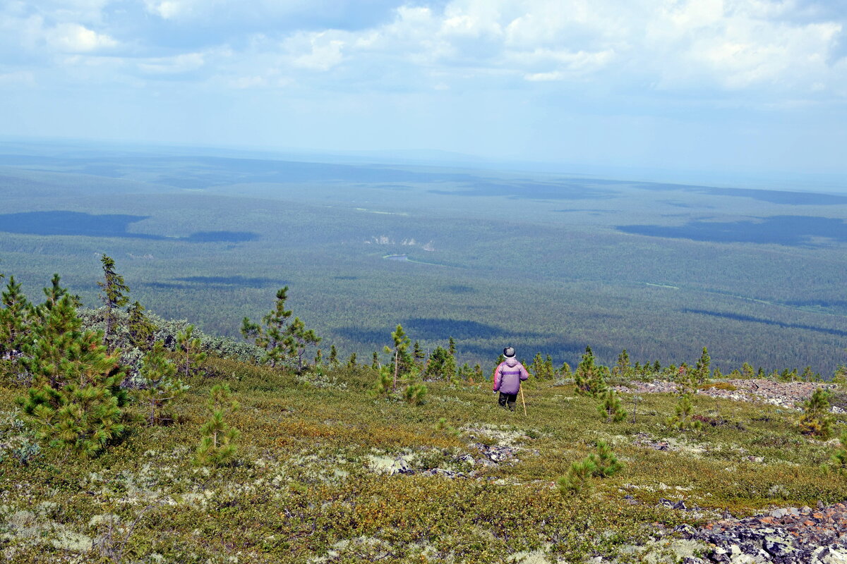 Вниз. - ВикТор Быстров