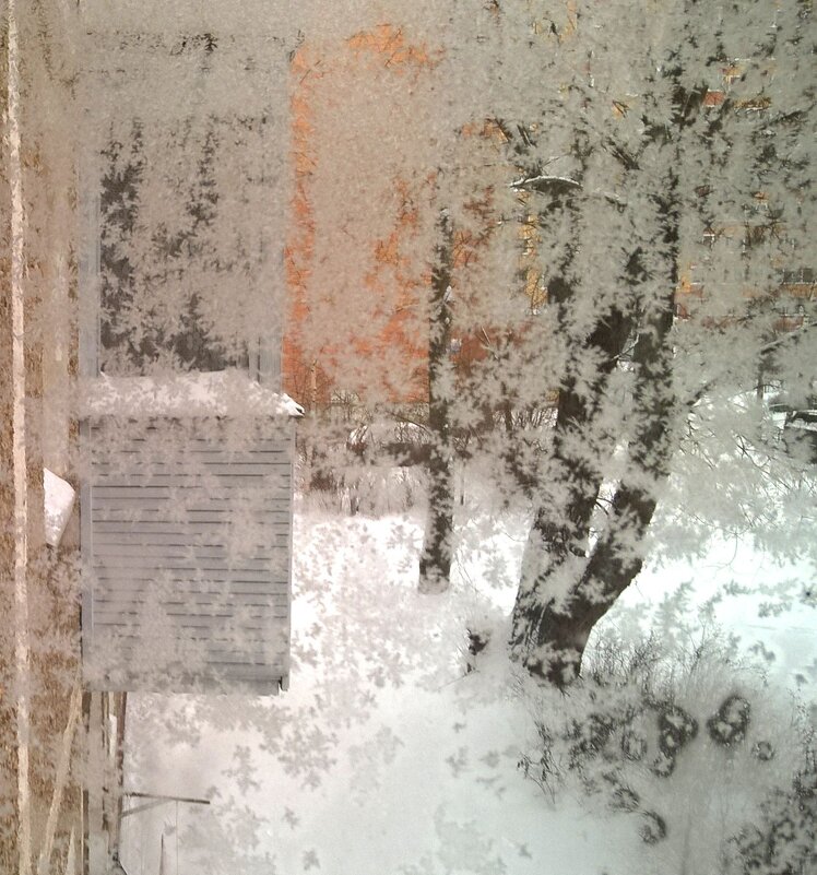 Морозно - Елена Семигина