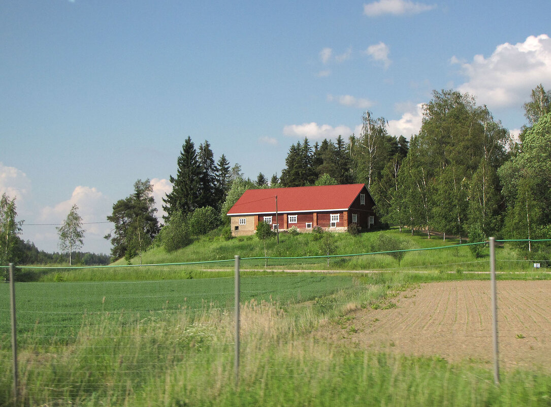 Вблизи местечка Руотсала (Ruotsala) - Александр Ильчевский 