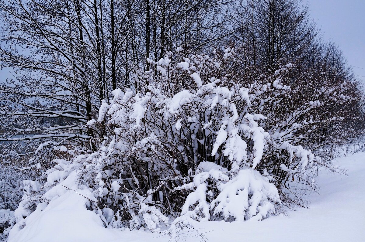 Зимние этюды - Рита Симонова