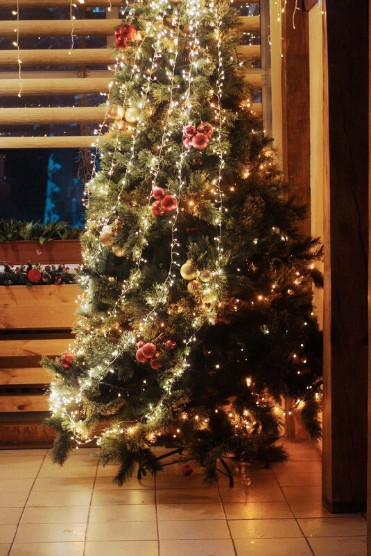 Ёлочка в кафе Чарли. - Светлана Мишенёва